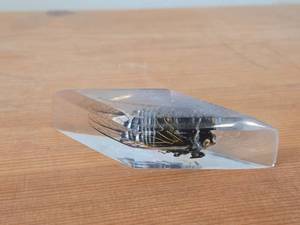 lot 342 image: Real Cicada Specimen Preserved in Clear Resin in the Shape of a Diamond
