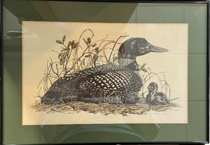 lot 45 image: Liz McLeod Miracle of Life Signed Print 26100 - Loon & Chick Artwork -