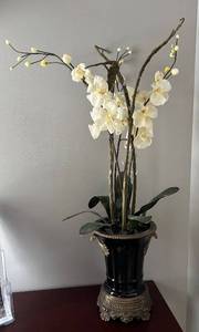 lot 148R image: DR - White Orchid Arrangement in Black Ceramic Vase with Gold Accents
