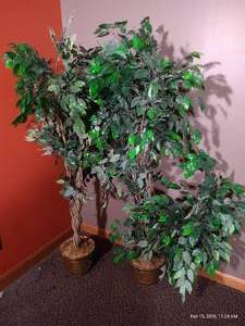 lot 91 image: (2) 6 Artificial Trees in Metal Pots