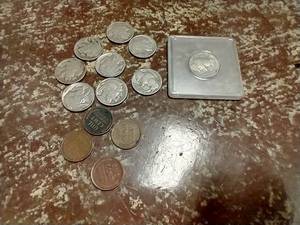 lot 160 image: (9) Buffalo Nickels & (4) Wheat Pennies