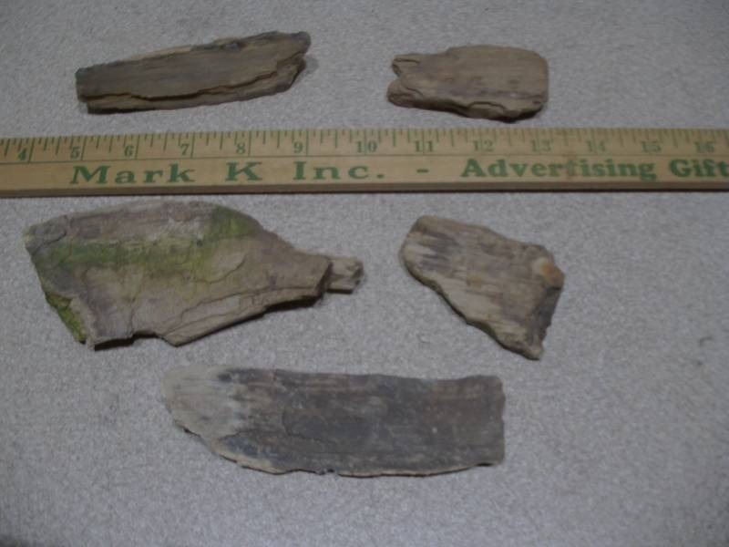 lot 298 image: The image displays several pieces of fossilized wood or geological specimens