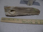 a piece of petrified wood,