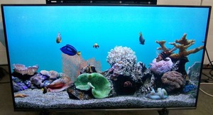 lot 1 image: 65 LG 65UX340C Commercial Lite Ultra High Def (UHD) 4K TV  Television with Wall Mount, Remote Control and HDMI Cable