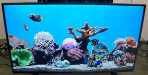 lot 5 image: 65 LG 65UJ6300 SMART LED 4K Ultra High Def (UHD) TV with HDR 4K with Wall Mount, Remote Control and HDMI Cable