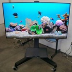 65" Samsung QB65R HDR 4K UHD (Ultra-High Def) Commercial Smart LED Display on Ergotron Neo-Flex Heavy-Duty Rolling TV Cart with Adjustable Shelf and Rotating TV Mount