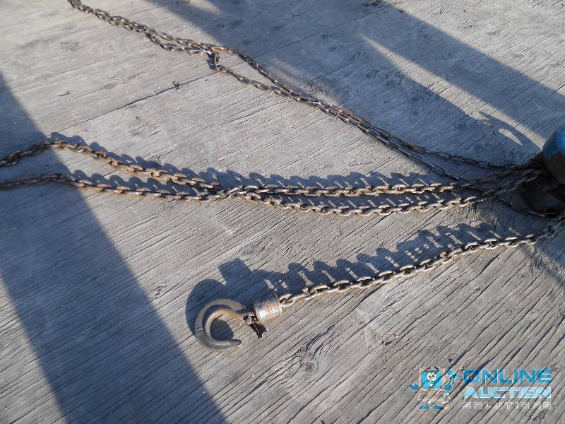 1-Ton Chain Hoist