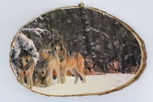 lot 57 image: Wolf Pack Wood Slice Plaque - Rocky Mountain National Park, CO - 15 in Diameter
