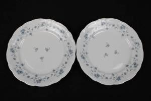 lot 127 image: Johann Haviland Bavaria Germany Blue Floral Border Dinner Plates (Lot of 2)