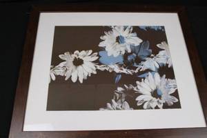 lot 147 image: Framed Daisy Floral Wall Art - White Mat, Dark Wood Frame