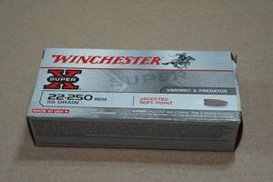 lot 224 image: 20 Winchester Super-X .22-250 Rem 55 Gr JSP Ammo