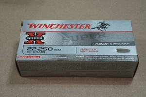 lot 226 image: 20 Winchester Super-X .22-250 Rem 55 Gr JSP Ammo