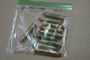 lot 273 image: 10 Hornady .45-70 Govt Ammo