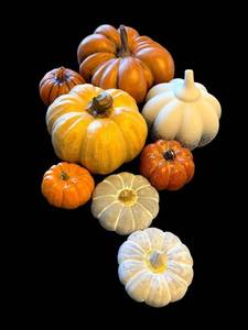 lot 31A image: Pumpkins - Assorted Orange, White & Gray Decorative Gourds for Halloween Display