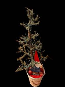 lot 234 image: Gnome-in-Bucket Christmas Tree - 50-Inch Tall with Lights in Snow Days Bucket