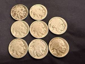 lot 64 image: 8 Buffalo Nickels