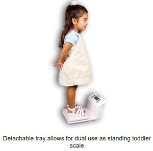 lot 51 image: Detecto 8440 Toddler Weighing Scale - Up To 44lbs Collapsible Removable Tray, Portable for Easy Transfers, Lock-On Weight for Movement-Prone Toddlers - Great Working Condition
