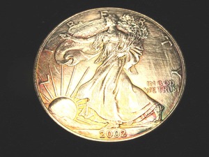 lot 2 image: 2002 Eagle Silver Dollar
