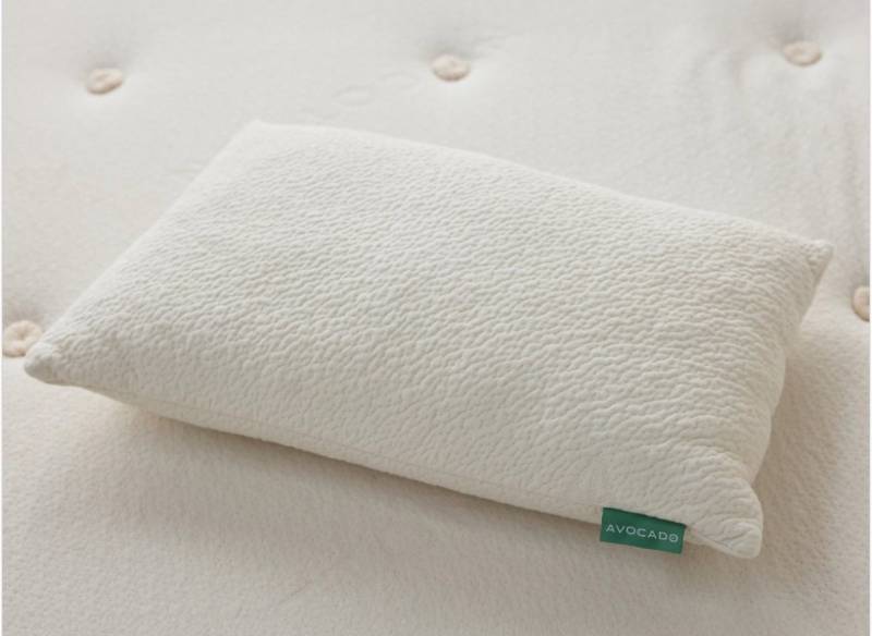 Avocado Organic Pillow with Natural Latex and Kapok Fill - Queen Size