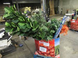 Pallet of Store Overstock and Ecommerce Product and Returns