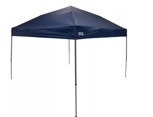 lot 125 image: DSG 12x12 Straight Leg Canopy (Used)