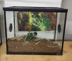 lot 27D image: Oceanic Glass Terrarium with Mesh Top - Rectangular Habitat for Small Reptiles