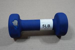 lot 80 image: 5lb Dumbbell