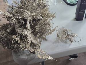 lot 179 image: Lot of (30) Butterfly theme Clip Dcor