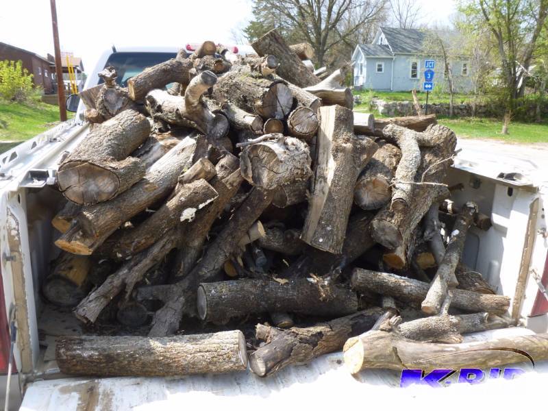 lot 6 image: Firewood