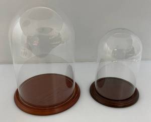 lot 160 image: Glass Display Domes With Wooden Bases 1 9x 6 12 1 11 x 9 (Great For Taxidermy Or Mounted Butterflies)