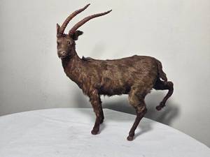 lot 27 image: Waterbuck Miniature Taxidermy