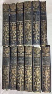 lot 19 image: Knights Cabinet Edition 1851 The Works of William Shakspere (Shakespeare) Introductory Volume, Vol 1-10, plus Poems and Life