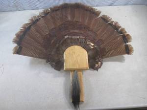 lot 41 image: (FS) Turkey Tail Feather Fan and Be...