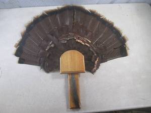 lot 42 image: (FS) Turkey Tail Feather Fan and Be...