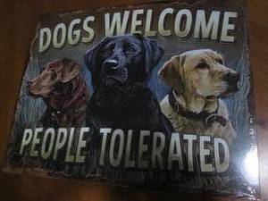 lot 512 image: Dogs welcome people tolerated metal...