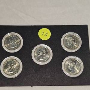 lot 73 image: 2007 P Colored Washington 25c, 5 Coin Set
