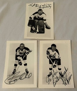 lot 97A image: (3) Vintage Minnesota North Stars Signed Team issues Photos - JP Parise, Gump Worsley
