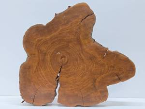 lot 373 image: Large Natural Wood Slab