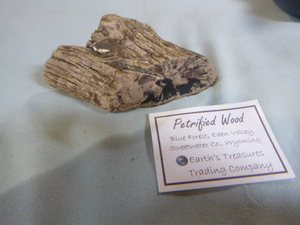 lot 32 image: Piece of Petrified Wood