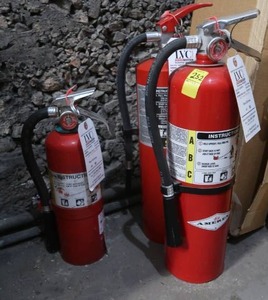 lot 252 image: 3 FIRE EXTINGUISHERS