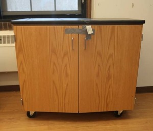 lot 302 image: ROLLING CART WITH BUCKET CUBBIES