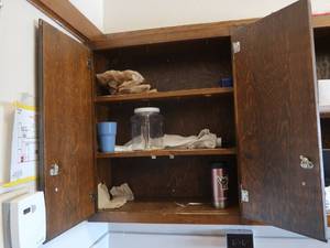 lot 349 image: CABINET PLUS