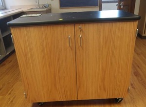 lot 369 image: ROLLING CABINET WITH CUBBIES