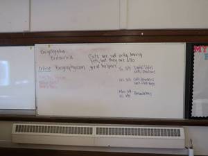 lot 418 image: 2 WHITE BOARDS