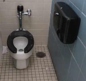 lot 438 image: TOILET WITH TOILET PAPER DISPENSER