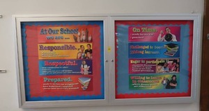 lot 461 image: GLASS LOCKABLE DISPLAY CASE