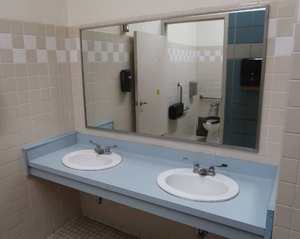 lot 463 image: DOUBLE SINK COUNTER TOP, COUNTERTOP, MIRROR, PAPER TOWEL DISPENSER, SOAP DISPENSER