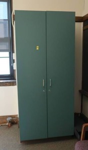 lot 576 image: TALL BLUE CABINET