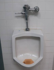 lot 603 image: CRANE PLUMBING URINAL