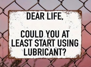 lot 11R image: Dear Life, Could you at Least Start Using Lube 8 x 12 Metal Sign - Brand New
